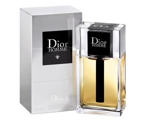 dior homer|dior homme 2020 review.